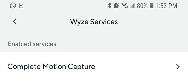 Wyze Cam Complete Motion Capture