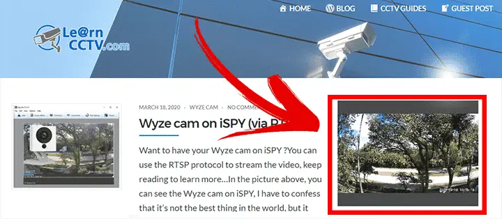 Wyze Cam Live on Website