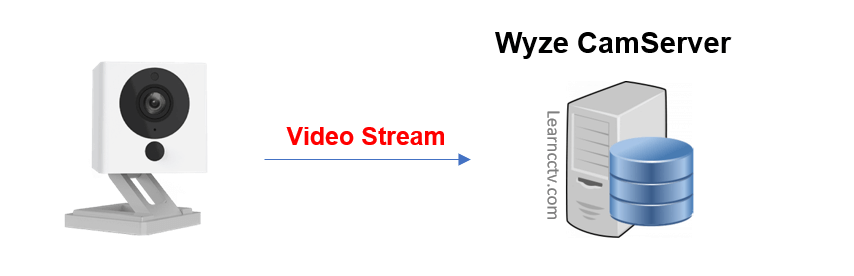 Wyze Cam Record to Cloud