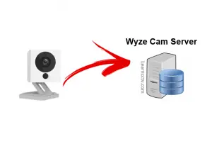 Wyze Cam to the Cloud