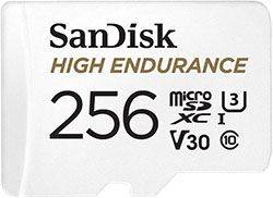Sandisk High Endurance 256GB