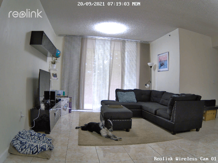 Reolink Wireless Camera Indoor