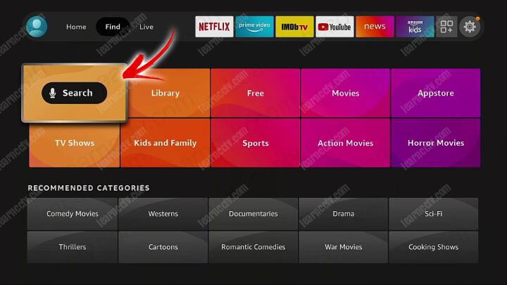 Search on Fire TV Stick